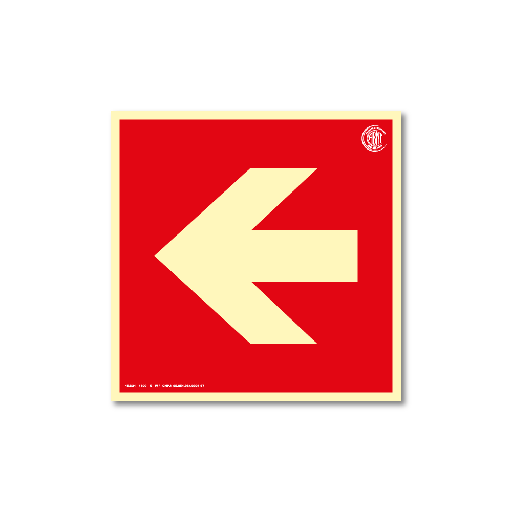 E13